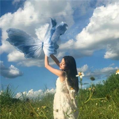 梦幻拍档